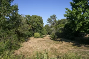 Division foncière à Baden : création de logements près du Golfe du Morbihan