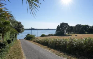 Division foncière à Baden : création de logements près du Golfe du Morbihan